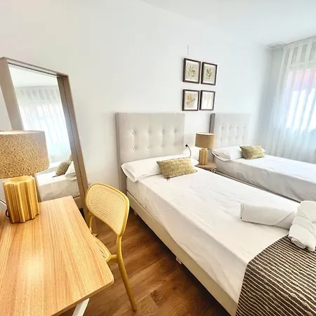 Ahoy Sotelo Alicante